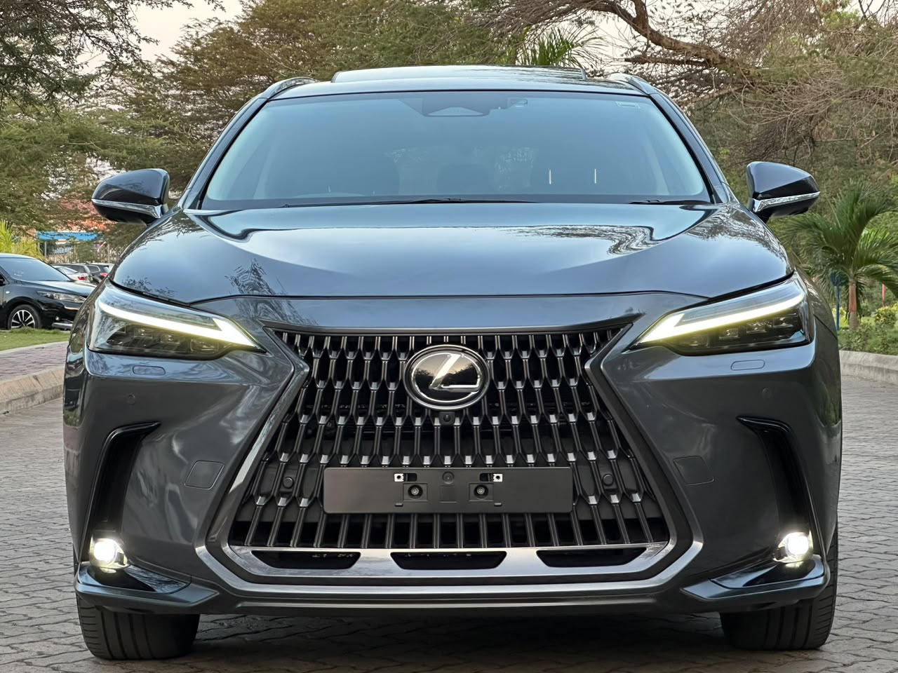 LEXUS NX 450H+ F- SPORT